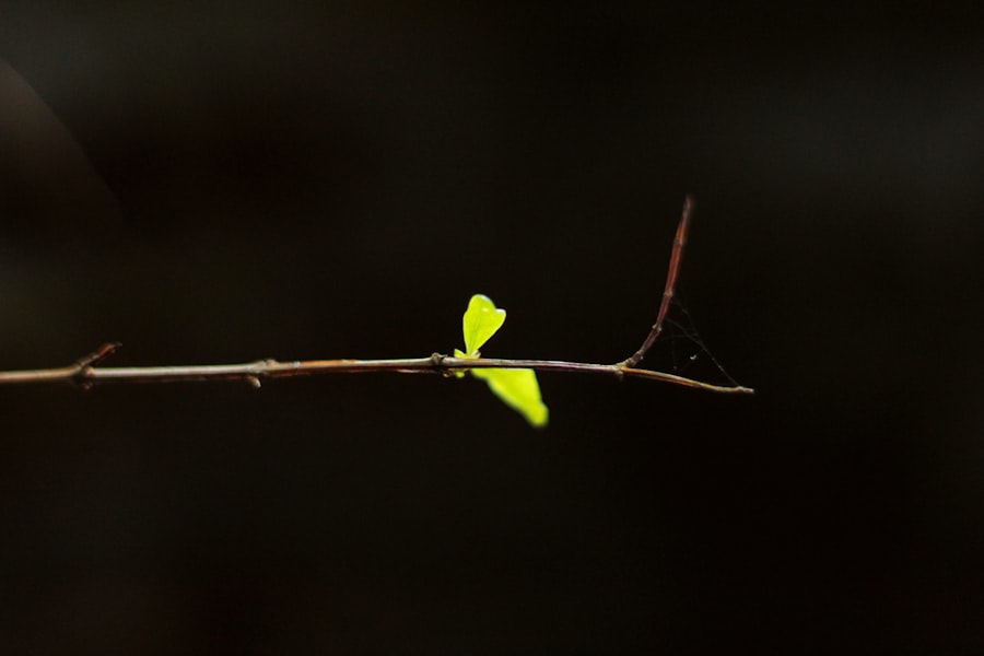 ansoff growth matrix