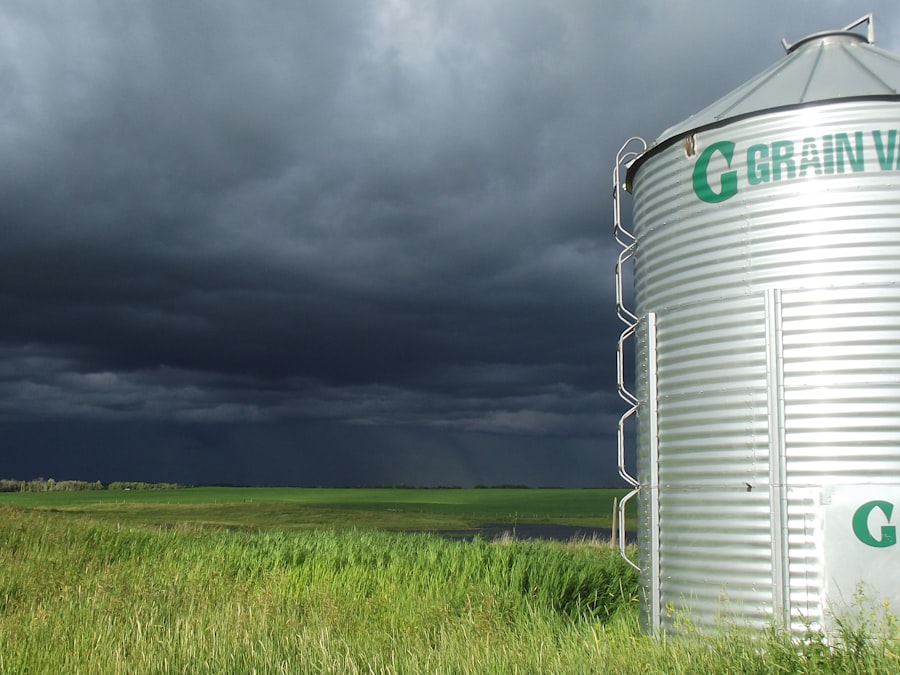 Photo grain bin