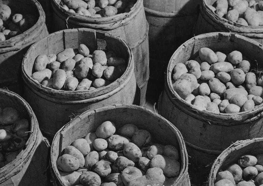 Photo potato equipment auction