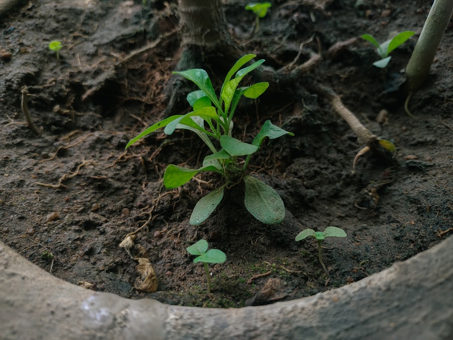 Photo organic development strategy