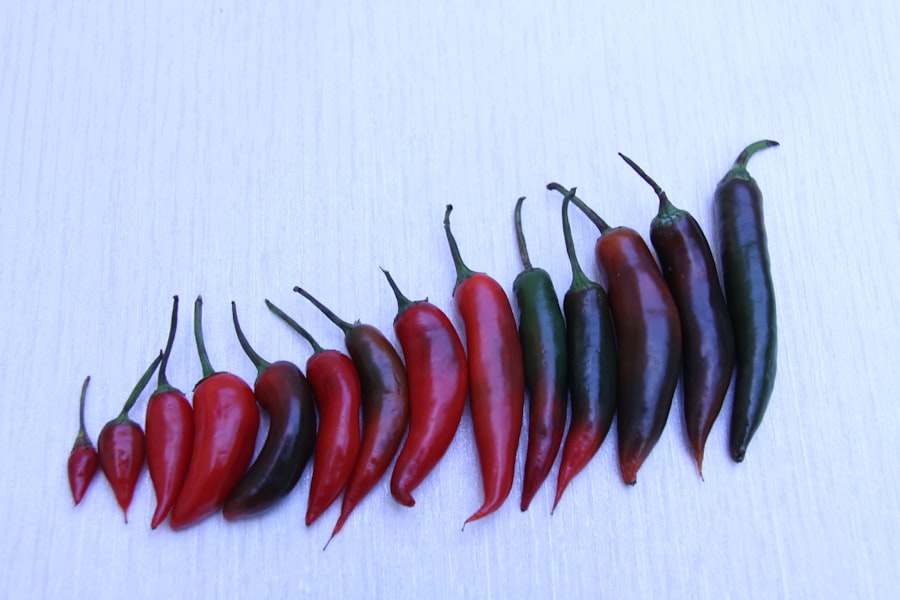 Photo industrial food slicer