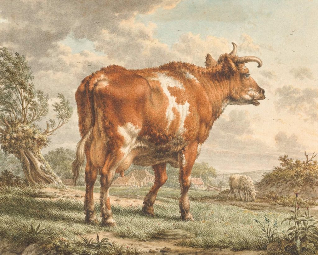 Photo manure spreader auction