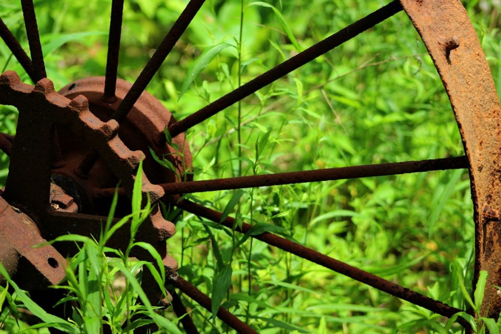 Photo manure spreader