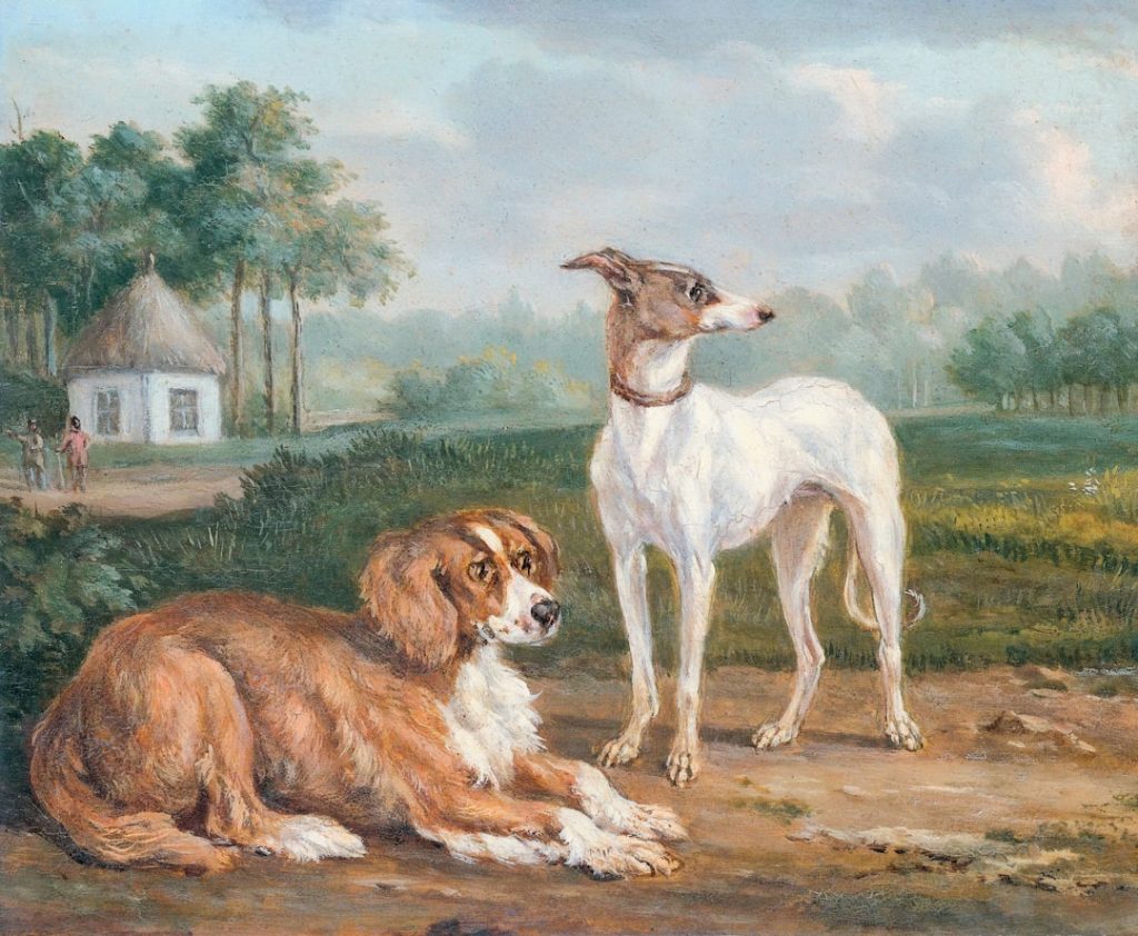 Photo agricultural auctions