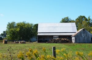 Farm Supply Auction: Stock Up on Essential Equipment and Supplies